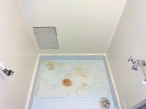 Before画像
