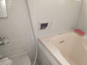 Before画像