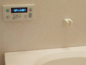 Before画像
