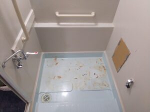 Before画像
