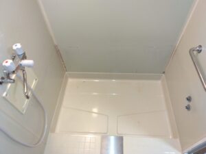 Before画像