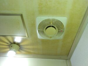 Before画像