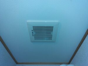 Before画像
