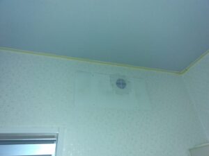 Before画像
