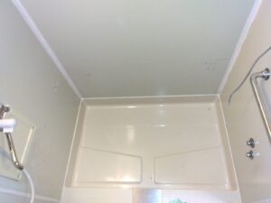 Before画像